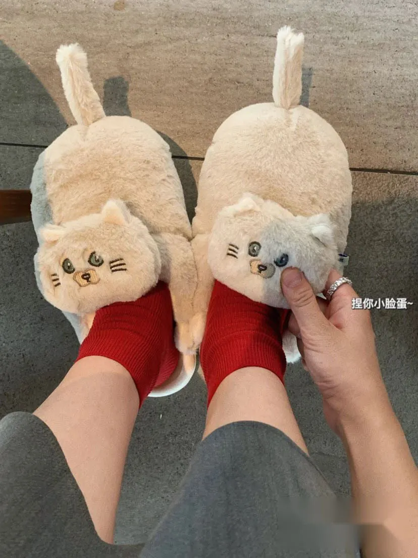 Begging Cat Slippers